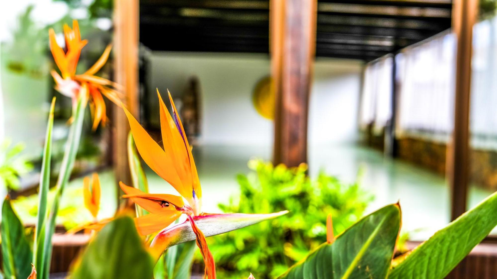 Villa Azul Fuerteventura Villaverde  ภายนอก รูปภาพ