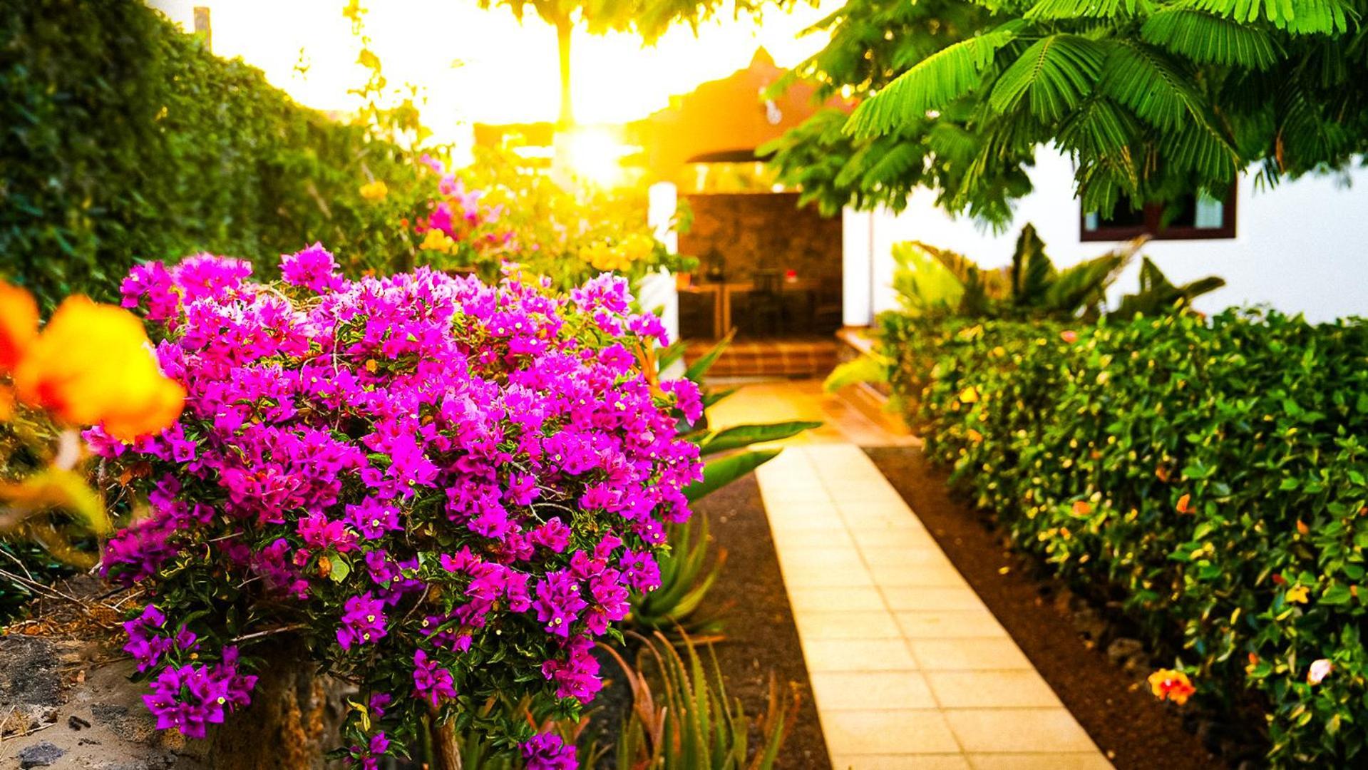 Villa Azul Fuerteventura Villaverde  ภายนอก รูปภาพ