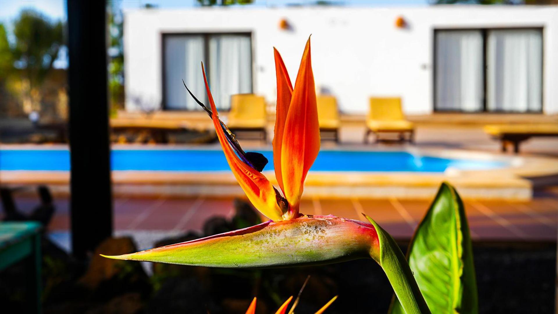 Villa Azul Fuerteventura Villaverde  ภายนอก รูปภาพ